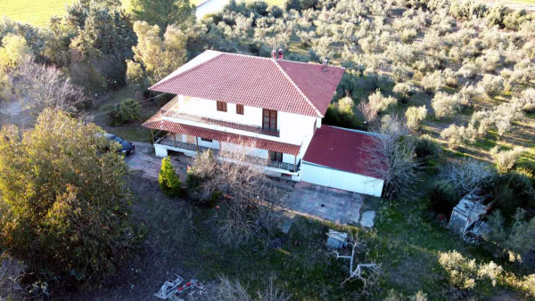 Περισσότερα...